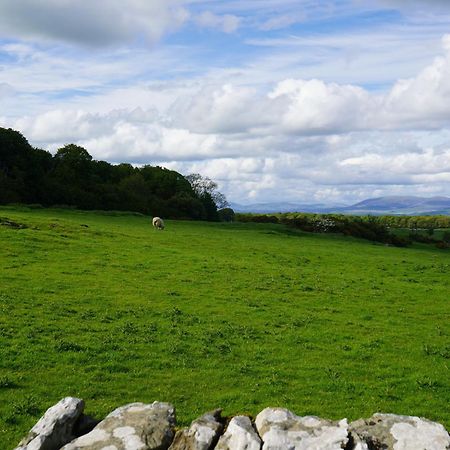 Roe Deer Lodge Newton Stewart Kültér fotó