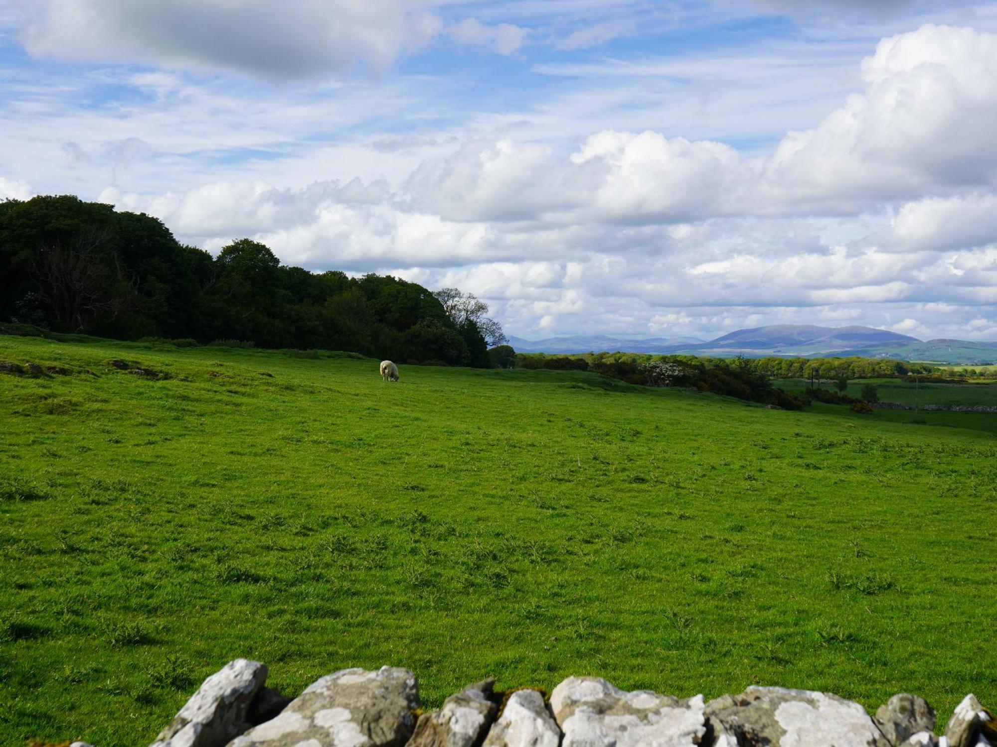 Roe Deer Lodge Newton Stewart Kültér fotó
